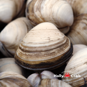 hollycrab_clam