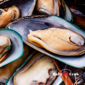 hollycrab_mussels